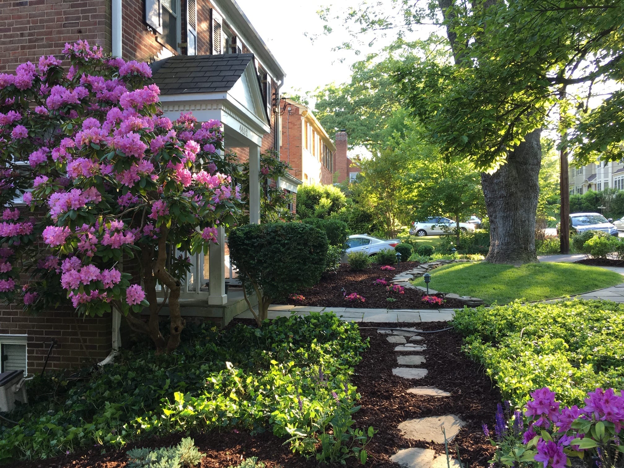 Lawn Care - Shrubs, Power Washing, Lawn Maintenance, Mulch and More.