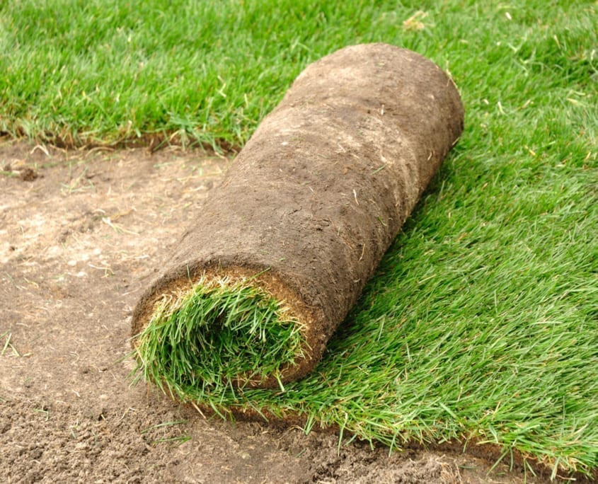 Lawn Maintenance - Sod Installation - Arlington, Virginia