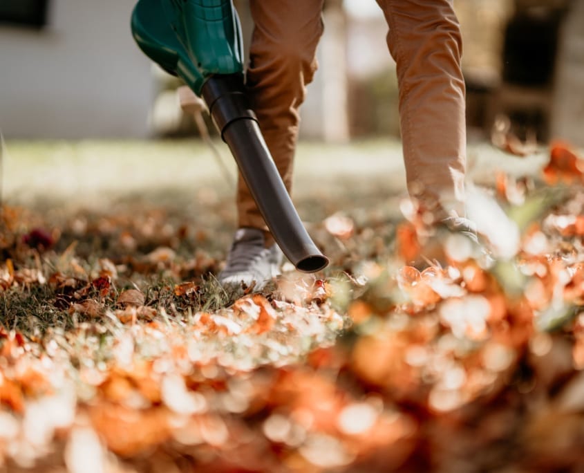 Lawn Care - Leaf Removal - Arlington, Virginia