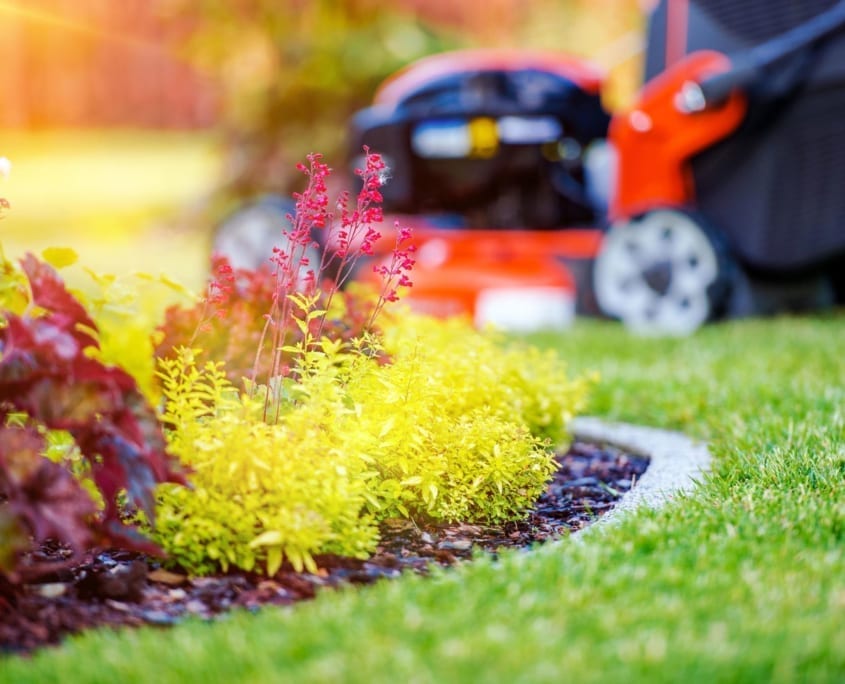 Lawn Maintenance - Yard Care - Arlington, Virginia